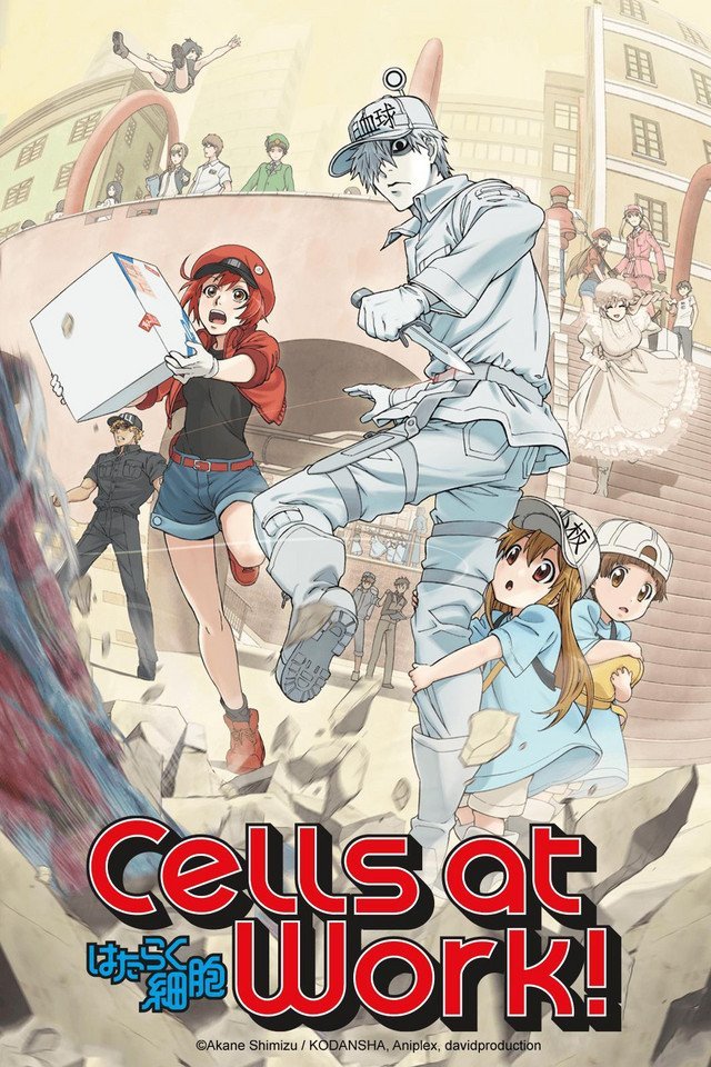 Cells at Work