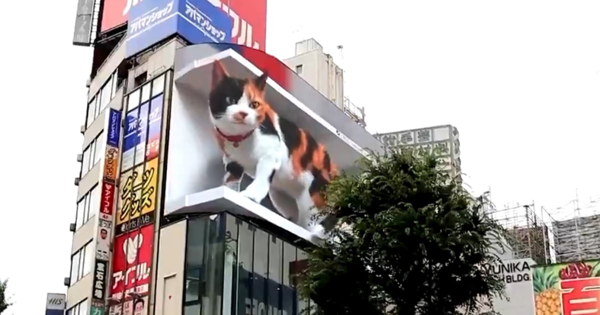 Cross Shinjuku Vision