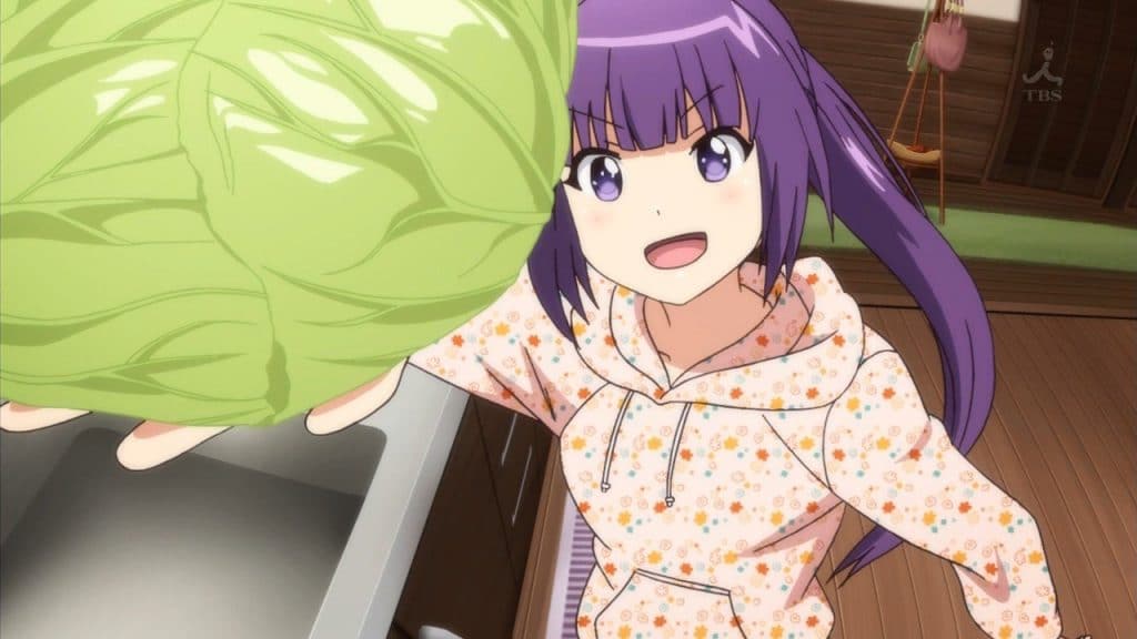 AniMom
