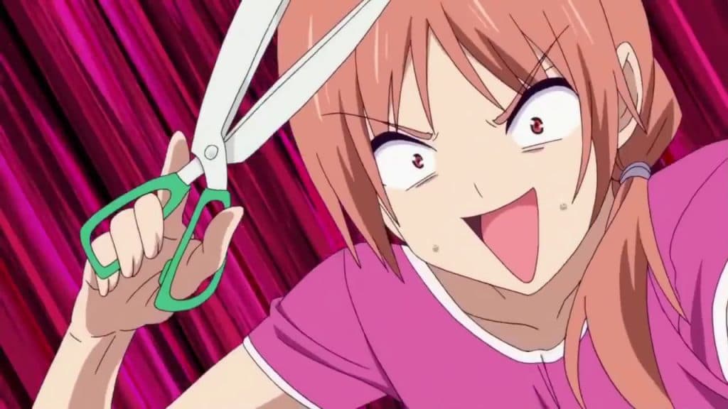 AniMom