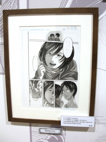Mikasa