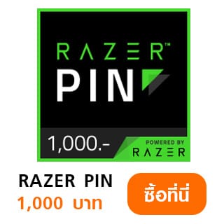 Razer PIN