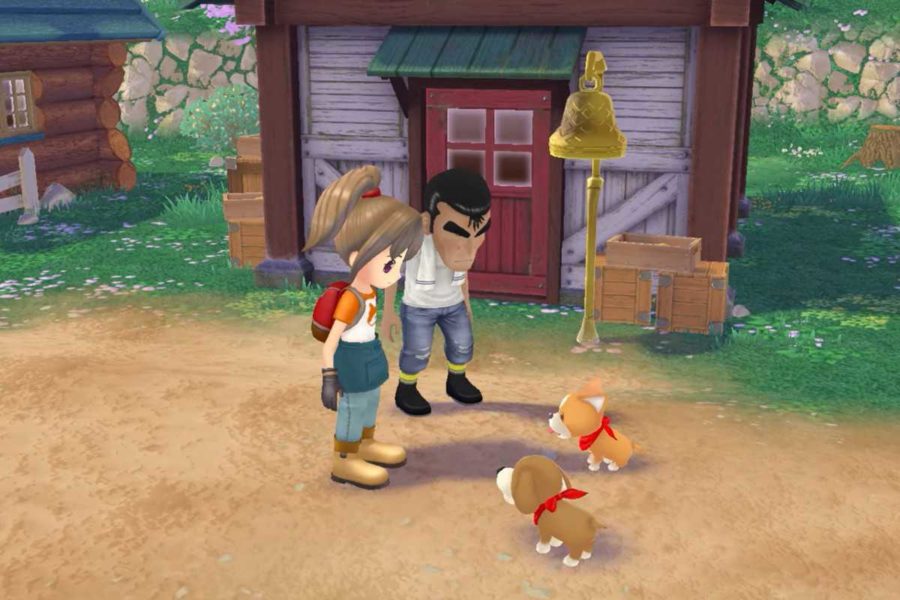 Story of Seasons: A Wonderful Life