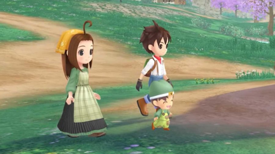 Story of Seasons: A Wonderful Life
