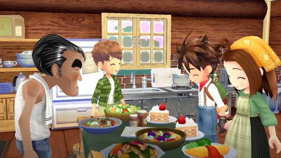 Story of Seasons: A Wonderful Life