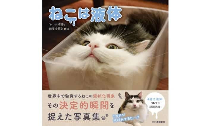 cat liquid