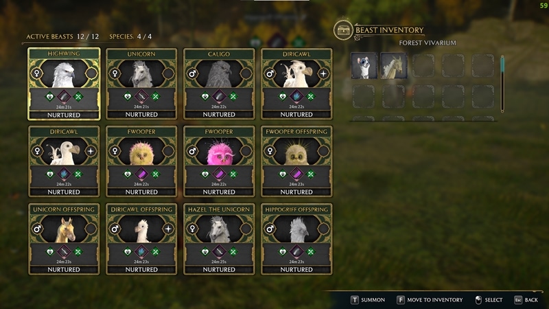 Hogwarts Legacy 