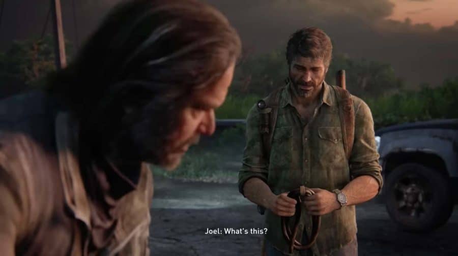 The Last of Us