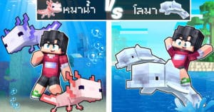 ถ้าเกิด! ครอบครัวหมาน้ำ VS ครอบครัวโลมา | Minecraft – DZER0