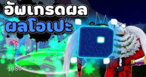 BLOX FRUITS ผมได้ทำการอัพเกรดผลโอเปะ!? – AKUMATORI