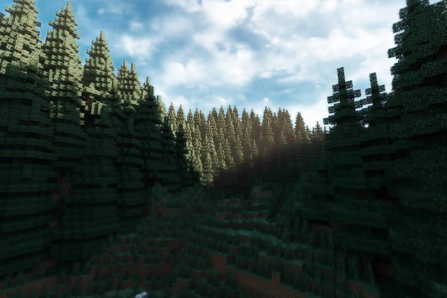 Minecraft