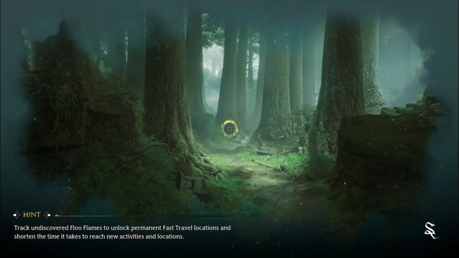 Hogwarts Legacy Nintendo Switch