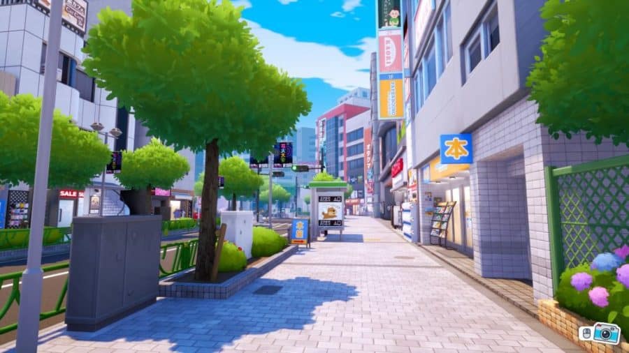 Shashingo