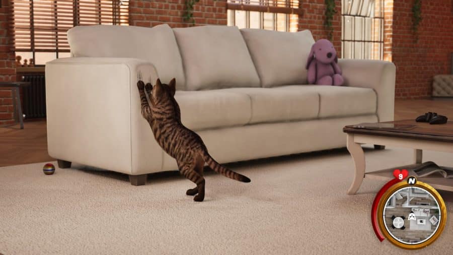 Steam Cat Life Simulator