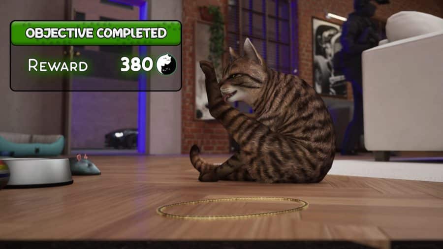 Steam Cat Life Simulator