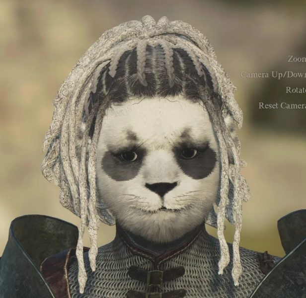 dragon's dogma 2