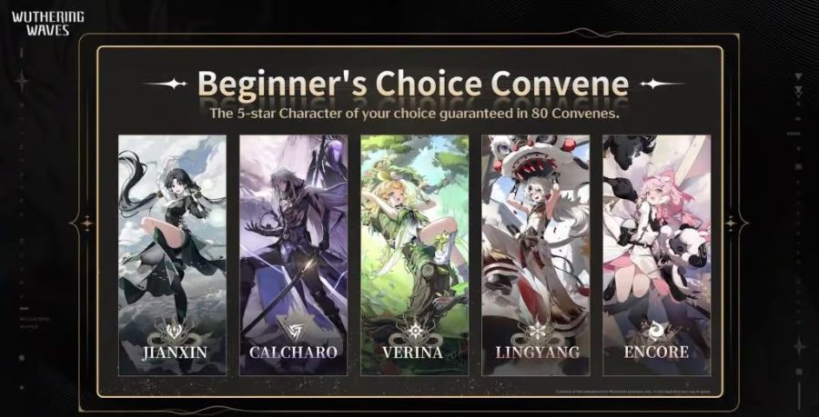 Wuthering Waves Beginner’s Choice