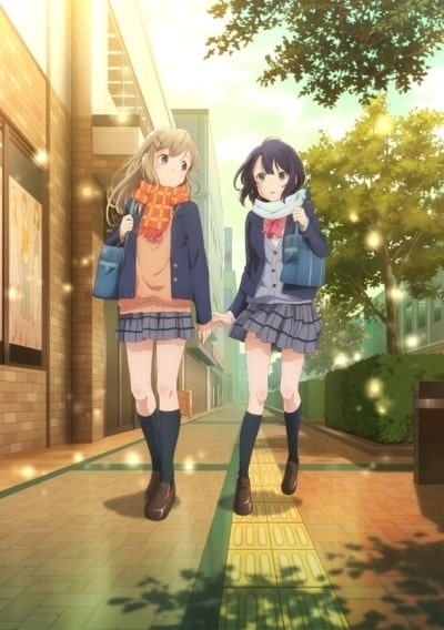 anime 