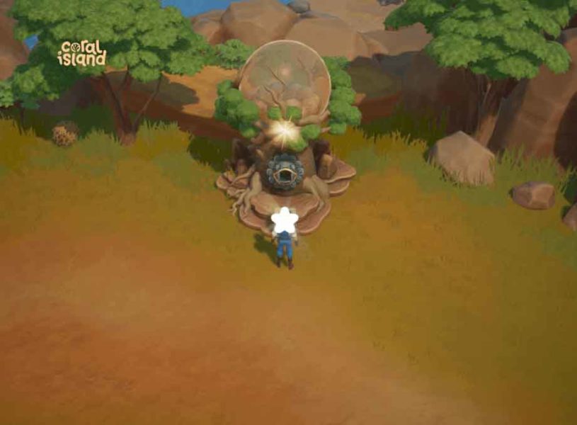 Coral Island