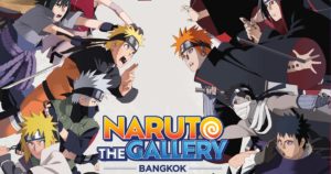 Naruto The Gallery cov